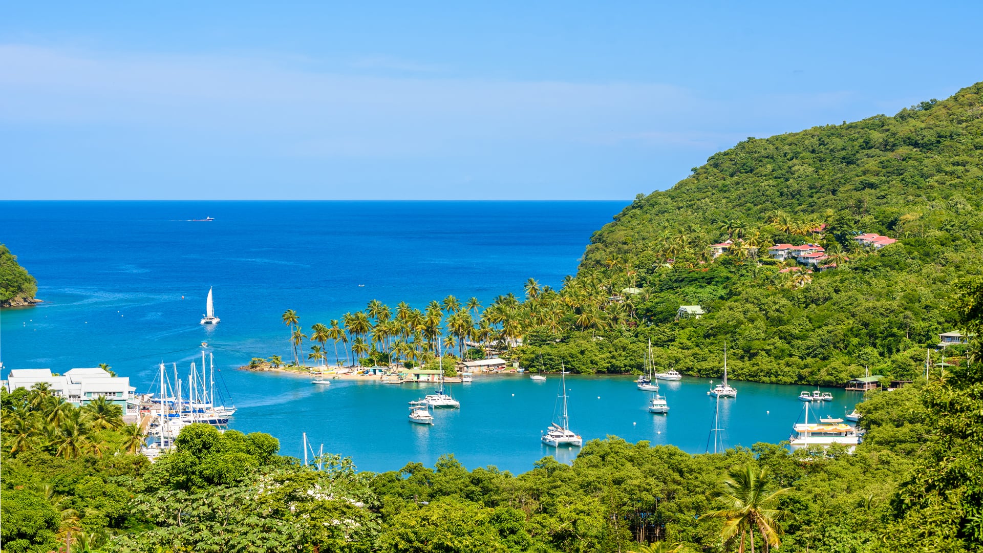 ncl excursions st lucia